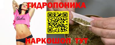спиды Шелехов