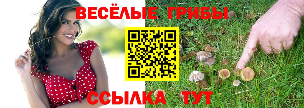 Галлюциногенные грибы Psilocybe  Вход с VPN  Краснодар 
